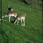 Дом отдыха La Manufacture Royale De Бэн-ле-Бэн