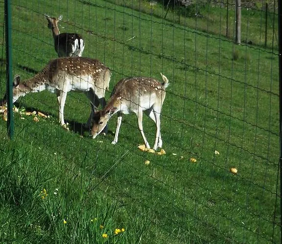 Дом отдыха La Manufacture Royale De Бэн-ле-Бэн